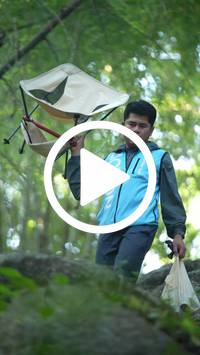 BIB:  <button type="button" onclick="openModal(27926144)" class="btn btn-primary btn-sm float-right" data-toggle="modal" data-target=".modal-high-quality">
                <i class="fa fa-download"></i> Download
                </button>